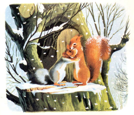 قصه کودکانه «سنجاب بازیگوش»-داستانهای مصور رنگی برای کودکان-ارشیو قصه و داستان ایپابفا