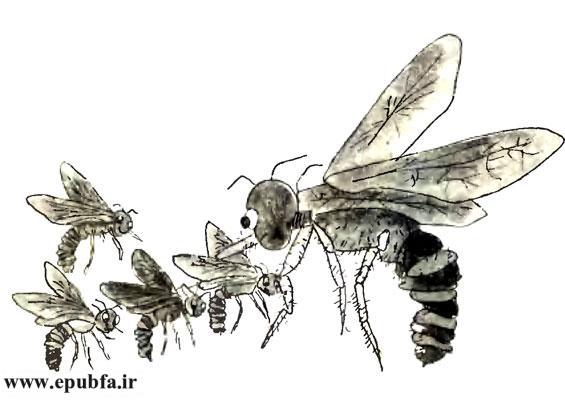 قصه کودکانه و آموزنده زنبور و انگور-«کاسب‌های بازارچه»-چترنور-ارشیو قصه و داستان ایپابفا
