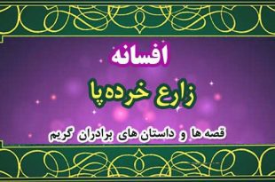 افسانه‌ی زارع خرده‌پا / قصه‌ها و داستان‌های برادران گریم 4
