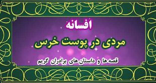 افسانه-مردی-در-پوست-خرس