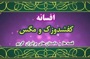 افسانه-کفشدوزک-و-مگس