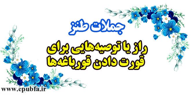 طنز راز-یا-توصیه‌هایی-برای-قورت-دادن-قورباغه‌ها