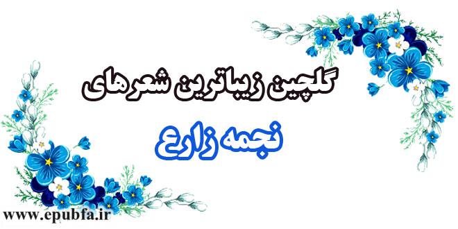 گلچین زیباترین شعرهای «نجمه زارع» 2