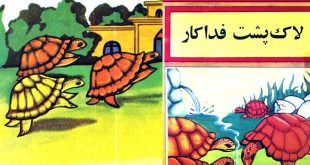 قصه مصور آموزنده برای کودکان: لاک‌پشت فداکار 1