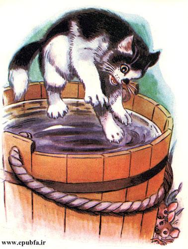 گربه‌ی بیچاره توی سطل آب افتاد.گربه پرید. اما باید بلندتر می‌پرید. 