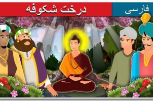 داستان تصویری درخت شکوفه / برای کودکان