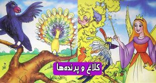 کتاب داستان مصور کودکانه کلاغ و پرنده‌ها