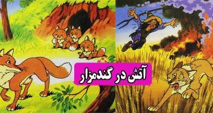 کتاب داستان مصور کودکانه آتش در گندمزار نوشته: شاگا هیراتا