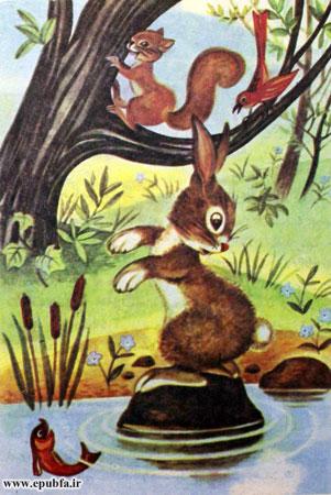 سنجاب، وحشت‌زده برگشت و نگاهی به خرگوش کوچولو انداخت 