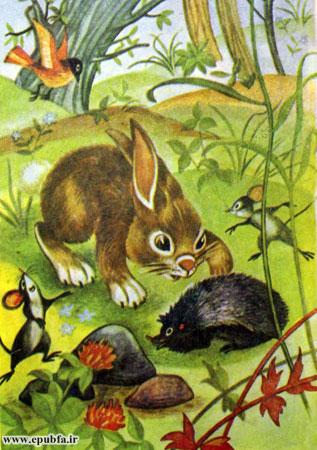 خرگوش کوچولو با دیدن چشم‌ها و بینی و دهان توپ، جوجه‌تیغی را شناخت