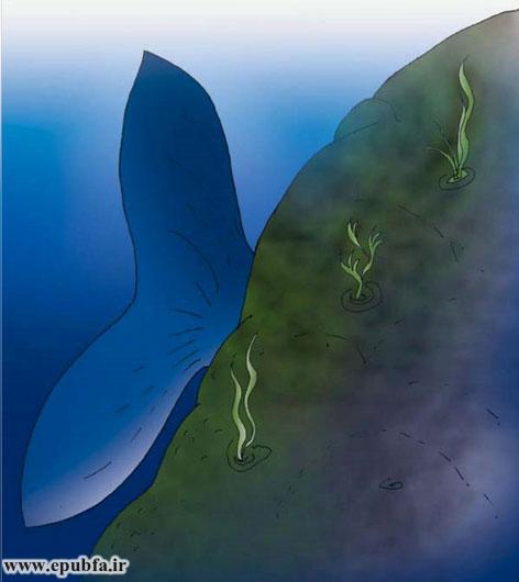 نهنگ کوچولو به علت جثه بزرگش نمی‌توانست خود را از دید دوستان کوچکش پنهان کند