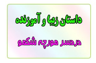 قصه-شب-برای-کودکان-دردسر-مورچه‌ی-شکمو
