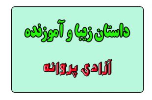 قصه-های-شب-برای-کودکان-آزادی-پروانه