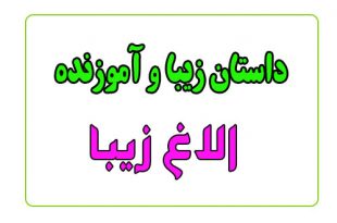 قصه-های-شب-برای-کودکان-الاغ-زیبا3