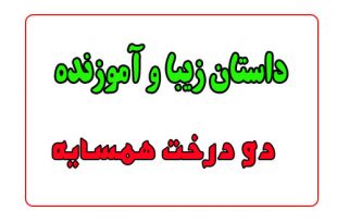 قصه-های-شب-برای-کودکان-دو-درخت-همسایه