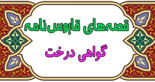 قصه‌های-آموزنده‌ی-قابوس‌نامه-قصه-گواهی-درخت