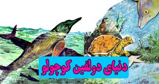 قصۀ کودکانه: دنیای دولفین کوچولو || نجات جان دولفین کوچولو 1