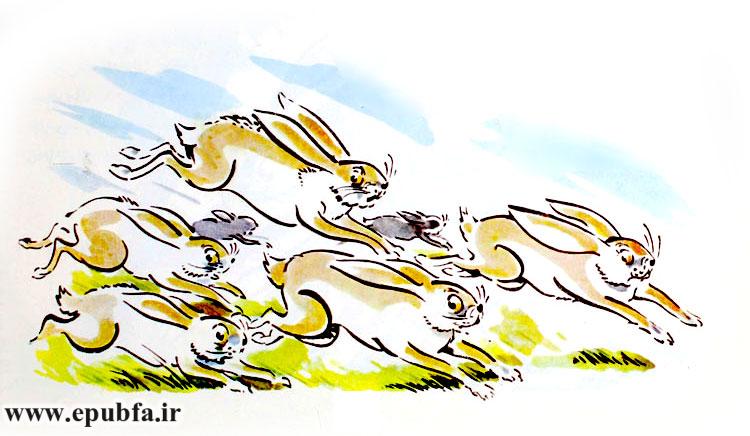 پس از مدتی کوتاه، صدها خرگوش، باهم می‌دویدند.