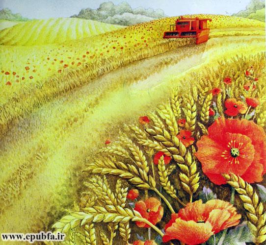 یک روز، ماشین کمباین غول‌آسایی برای درو کردن گندم‌ها به مزرعه آمد