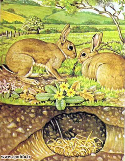داستان کودکانه: خرگوش || آشنایی کودکان با زندگی خرگوش‌ها 1
