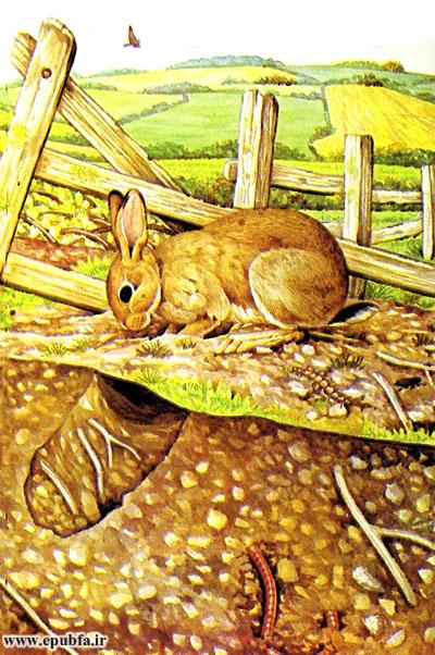 داستان کودکانه: خرگوش || آشنایی کودکان با زندگی خرگوش‌ها 2