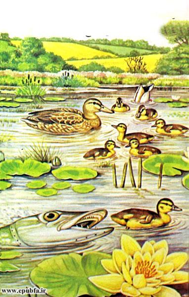 داستان کودکانه: اردک || آشنایی کودکان با زندگی اردک‌های وحشی 6