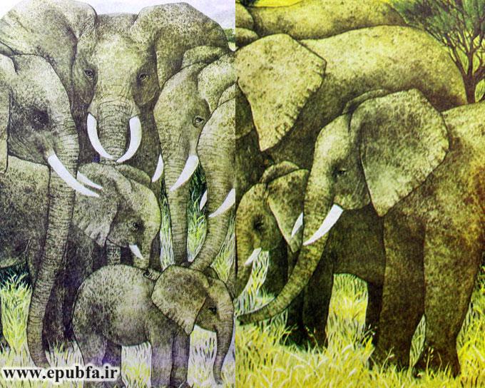 داستان کودکانه: فیل کوچولو || آشنایی با زندگی فیل ها در طبیعت 1