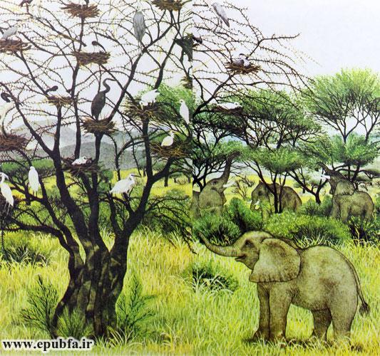 داستان کودکانه: فیل کوچولو || آشنایی با زندگی فیل ها در طبیعت 2