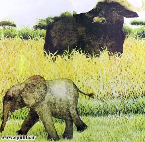داستان کودکانه: فیل کوچولو || آشنایی با زندگی فیل ها در طبیعت 5