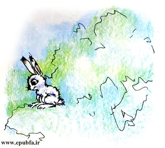 قصه کودکانه و آموزنده: خرگوش کوچولو || چه زود بزرگ شدی! 2