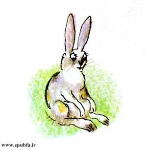 قصه کودکانه و آموزنده: خرگوش کوچولو || چه زود بزرگ شدی! 9