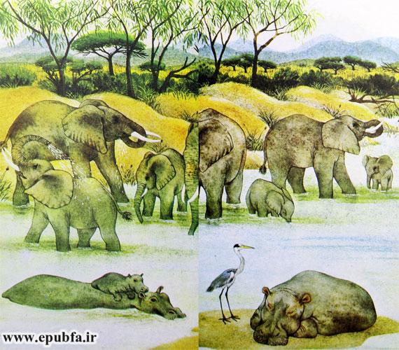 داستان کودکانه: فیل کوچولو || آشنایی با زندگی فیل ها در طبیعت 7