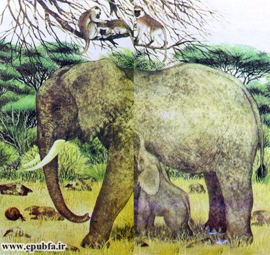 داستان کودکانه: فیل کوچولو || آشنایی با زندگی فیل ها در طبیعت 9