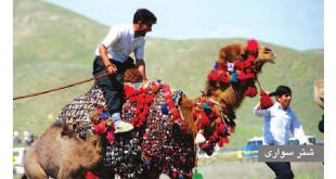 بازی‌های محلی و بومی ایران: بازی شترسواری