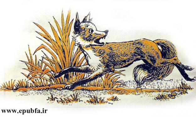 داستان کودکانه و آموزنده: روباه و شیر || افسانه‌های ازوپ 3