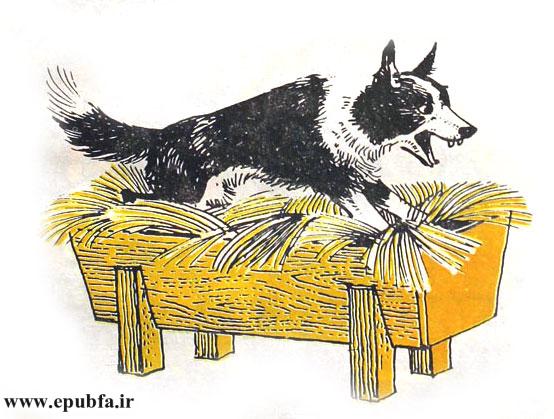 داستان کودکانه و آموزنده: سگ بخیل || افسانه‌های ازوپ 3