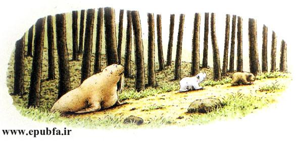 داستان کودکانه: خرس سفید کوچولو و دوستش || فرار به قطب شمال 15