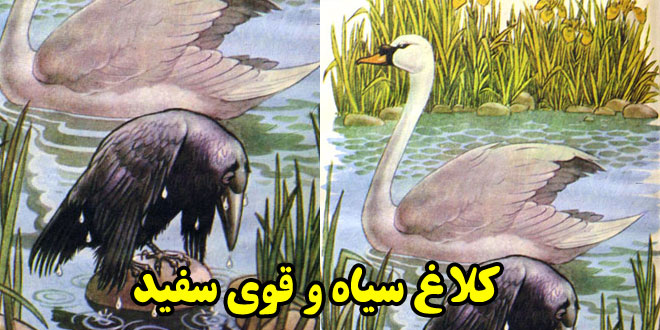 افسانه-ازوپ-کلاغ-سیاه-و-قوی-سفید