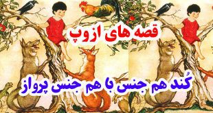 افسانه-هاي-ازوپ-کُند-هم‌جنس