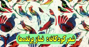 شعر کودکانه: نماز پرنده‌ها || پرنده‌ها مهاجرند، نمازشان شکسته است 1