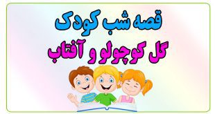 قصه-شب-کودکانه-گل-کوچولو-و-آفتاب