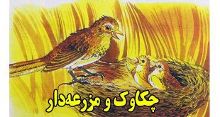 قصه-کودکانه-چکاوک-و-مزرعه-دار