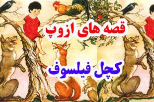 قصه‌های-ازوپ-کچل-فیلسوف