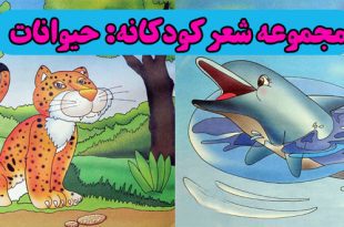 مجموعه شعر کودکانه: حیوانات || آشنایی کودکان با حیوانات 3