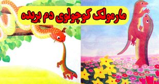 کتاب-قصه-کودکانه-مارمولک-کوچولوی-دم-بریده