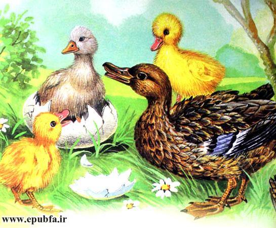 داستان کودکانه: جوجه‌ی سرراهی || اردک خانم و غازک 2