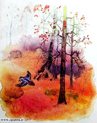 داستان کودکانه: شاکوتی، دارکوب بازیگوش || از درختان نگه‌داری کنیم! 11
