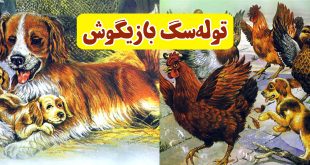 داستان کودکانه: توله‌سگ بازیگوش || پاکوتاه و پرندگان خشمگین 1