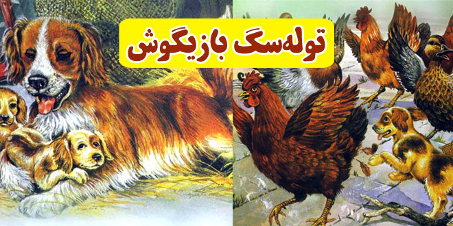 داستان کودکانه: توله‌سگ بازیگوش || پاکوتاه و پرندگان خشمگین 1