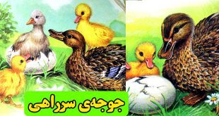 داستان-کودکانه-جوجه‌ی-سرراهی-(1)-